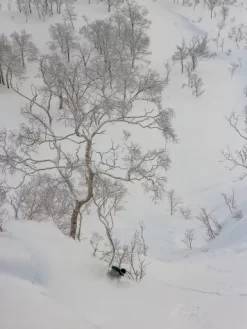 K2 Antidote 2024 Snowboard 8 K2 Antidote 2024 Snowboard -Professional Ski Equipment Store Antidote2024Snowboard 2