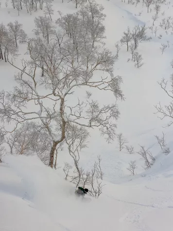 K2 Antidote 2024 Snowboard 5 K2 Antidote 2024 Snowboard - Image 3