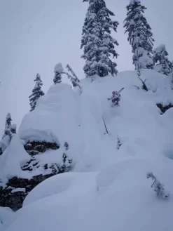 Yes! Basic Snowboard 7 Yes! Basic Snowboard -Professional Ski Equipment Store BasicSnowboard 1