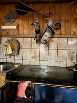 Grandpa Mittens 10 Grandpa Mittens -Professional Ski Equipment Store GrandpaMittens 3