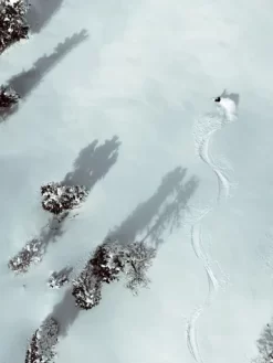 FACTION La Machine Mega 109mm 172 2023 Touring Skis 6 FACTION La Machine Mega 109mm 172 2023 Touring Skis -Professional Ski Equipment Store LaMachineMega109mm1722023TouringSkis 1