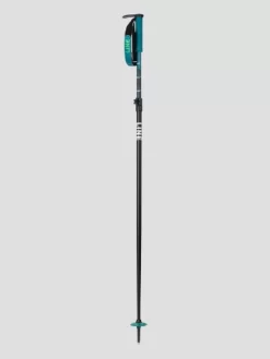 LINE Paintbrush 2024 Telescopic Poles