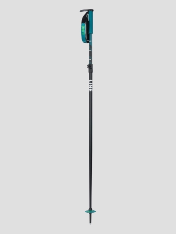 LINE Paintbrush 2024 Telescopic Poles 3 LINE Paintbrush 2024 Telescopic Poles