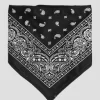 Paisley Snow Bandana -Professional Ski Equipment Store PaisleySnowBandana