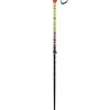 VÖLKL Phantastick FR 2024 Telescopic Poles