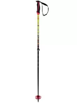 VÖLKL Phantastick FR 2024 Telescopic Poles