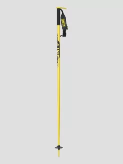 LINE Pin 2024 Ski Poles