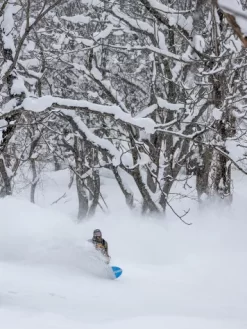 K2 Special Effects 2024 Snowboard -Professional Ski Equipment Store SpecialEffects2024Snowboard 2