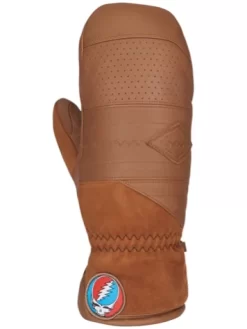 Dakine Team Baron Gore-Tex Mittens 6 Dakine Team Baron Gore-Tex Mittens -Professional Ski Equipment Store TeamBaronGoreTexMittens 1