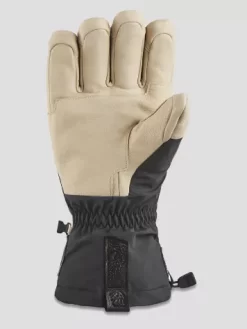 Dakine Team Phoenix Gore-Tex Gloves -Professional Ski Equipment Store TeamPhoenixGoreTexGloves 1