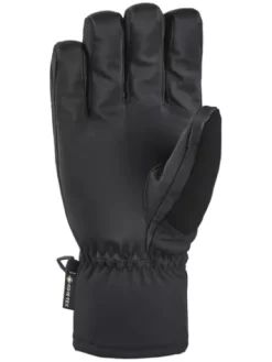 Dakine Titan Gore-Tex Short Gloves -Professional Ski Equipment Store TitanGoreTexShortGloves 2